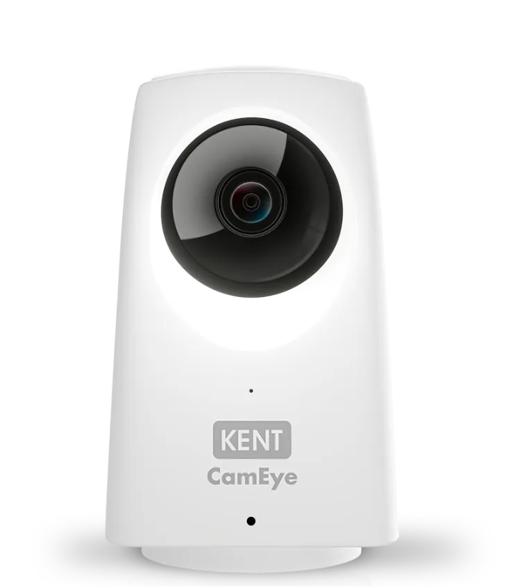 Kent CamEye home security cameras